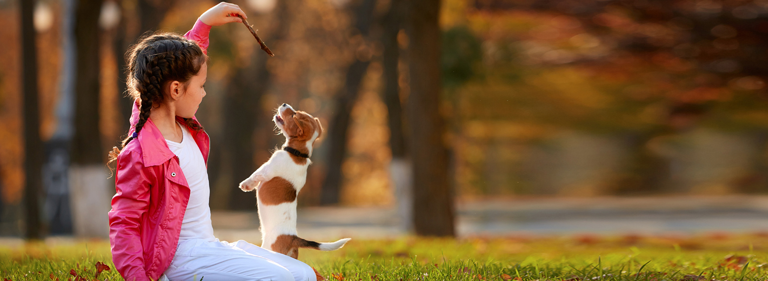 amenities-gallery-image